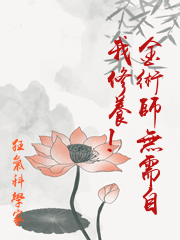 《炼金术师无需自我修养》