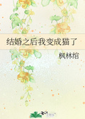 《假结婚后我变成了omega》 作者:杂鱼二乙