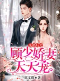 《婚宠爱妻文 》