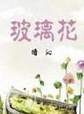 玻璃花火