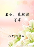 王爷离婚请签字免费阅读