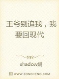 王爷别追我我要回现代