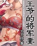 王爷将军写的小说