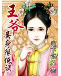 王爷,妾身很低调