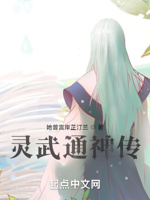 灵武通神传