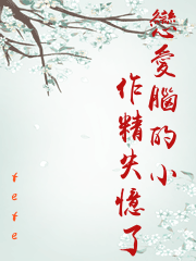爱的失败作小说