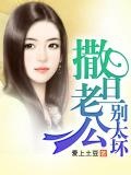 犯上撒旦老公：女人别惹火