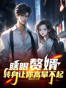 瞎眼赘婿,转身让你高攀不起！