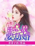 甜妻外嫁总裁要劫婚 小说