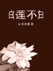 白莲花进化史