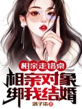 相亲结婚的小说