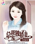 盛宠娇妻：总裁的再婚老婆