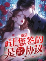 盛总,太太让您签的是去父留子协议