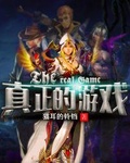 真正的修真游戏