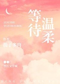 等待温柔的风什么意思