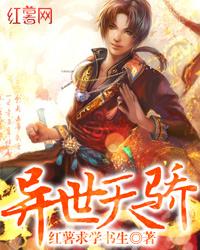 砝码大陆之魔法天下