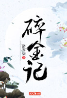 碎金记
