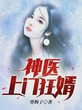 神王婿小说