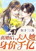 离婚后我身价百亿[穿书] 沈青鲤