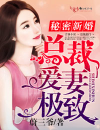秘密新婚,总裁爱妻极致