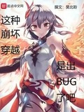 穿越崩坏bug