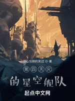 第四天灾的星空舰队