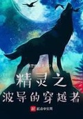 精灵宝可梦波导的勇者