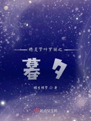 精灵梦叶罗丽之暮夕