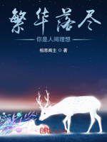 繁华落尽,你是人间理想