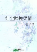 红尘醉挽柔情讲什么