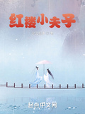 红楼小夫子盗版小说