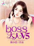 绵羊小妻：BOSS大人,V5