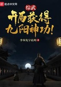 综武开局得神功