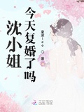 织田小姐今天结婚了吗综漫