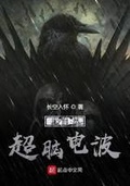 绚星电脑版登录入口