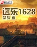 续航1628小说