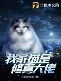 修真大佬全是猫