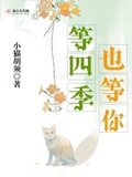 你等阳光我等你熊猫不是猫