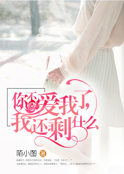 你不爱我了,我还剩什么
