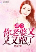 你老婆又跑了小说