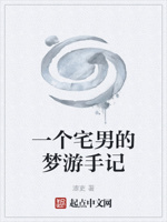 一个宅男的梦游手记