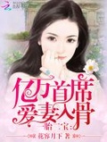 一胎二宝帝少爱妻入骨