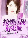 七个女总裁抢婚的小说