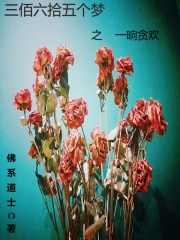 三佰六拾五个梦