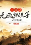 三国之无敌小说