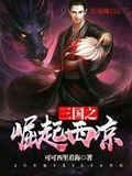 三国之风起西凉