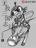 三国志无敌版