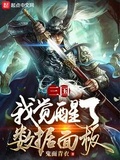 三国我觉醒了数据面板txt下载