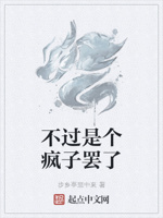 不过是个疯子罢了