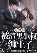 两个渣男主结婚了 小说